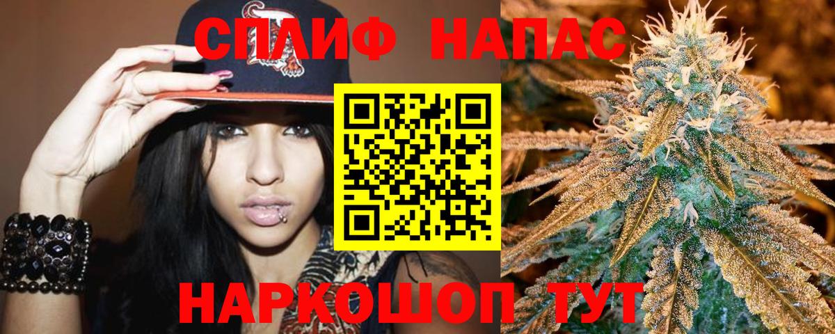 Каннабис индика Усть-Джегута